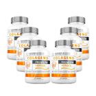 Kit 6x Colágeno Verisol Premium 60 Capsulas Nutrends