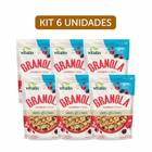 Kit 6X: Granola Cranberry E Goji Zero Açúcar Sem Glúten