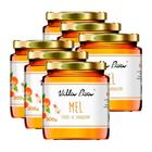 Kit 6X: Mel de Laranjeira Villa Piva 300g