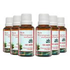 Kit 6x Óleo Essencial 1,5% Wintergreen Pronto para Pele 30ml - WNF