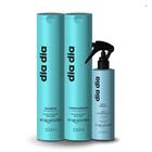 kit Acquaflora Dia Dia Shampoo + Condicionador 300ml + Spray s/ enxágue 240ml