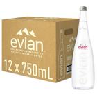 Kit Água Mineral S/ Gás Francesa Evian Vidro 750Ml Com 12Un