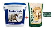 Kit Aminomix Forte 2,5kg + Organew 1kg - Vetnil