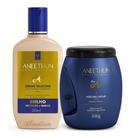 Kit Aneethun Linha A Creme De Silicone 250Ml E Máscara 500G