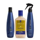 Kit Aneethun Linha A Shampoo, Creme e Spray