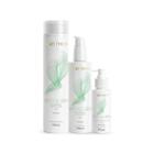 Kit Anti-queda Therapy Aneethun Com 3 Produtos