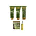 Kit Argan Liss Pos Escova Maxihair-5 Itens