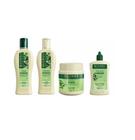 Kit Bio Extratus Jaborandi Sh 250ml + Cond 250ml + BC 250g + Tônico 100ml