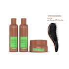 Kit Burix Care Prohall Shampoo Condicionador Máscara +Escova