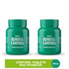 Kit c/ 2 Bendita Cânfora Com 30 Tabletes Multiuso 0,75g - Odorizante e Aromatizante de Ambiente - Bravir -