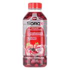 Kit c/ 2 Sorox Frutas Vermelhas 550ml - Droga Raia