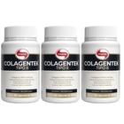Kit c/3 Colagentek Colágeno Tipo 2 C/60 Cápsulas 750mg Vitafor