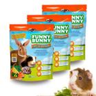 Kit C/3 Rações Para Coelhos Chinchilas Porquinho da India Roedores Hamster Funny Bunny Delicias Da Horta 500g