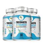 KIT C/3 Treonato De Magnésio 500mg - 60 Cápsulas - Fits Life