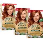 Kit c/3 unidades coloração soft color kit 0743 louro acobreado
