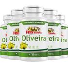 KIT C/5 Un. Suplemento Extrato de Oliveira 60 Cápsulas 500mg Rei Terra