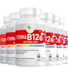 Kit C/6 Vitamina B12 Metilcobalamina 60 cápsulas - Fits Life