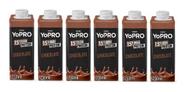 Kit C/6 Yo Pro Whey 15g Protein Sabor Chocolate 250ml Bebida