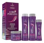 Kit Cabelo Profissional Loiro Perfeito 4Itens - Bio Instinto