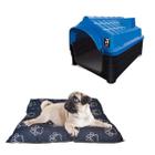 Kit Casa Cachorros Gato N1 Azul + Caminha Colchão Acolchoado