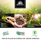 Kit Chá Verde Orgânico Kampo de Ervas Seca Folhas 6 und 40g cada