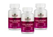 Kit Colágeno Com vitaminas 180 capsulas de 500 mg