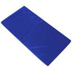 Kit Colchonete Azul + Corda de Pular Ajustável + Par de Caneleira Tornozeleira De Peso 9kgs Profissional