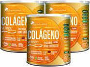 Kit Com 03 - Colágeno Verisol + Ácido Hialurônico Sabor Tangerina 250g - Flora Nativa do Brasil