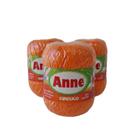 Kit com 03 Fios Anne 100% Algodão Mercerizado