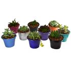 Kit Com 10 Cachepot 12x8cm Alumínio Jardim Violeta