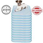 Kit com 12 Tapetinhos Alta Absorção para Pets 70x50 Branco com borda Azul 200 Lavagens