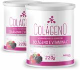 Kit Com 2 Colágeno hidrolisado + Vitamina C Promel 220g - Sabor Frutas Vermelhas