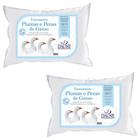Kit com 2 Travesseiros Daune Plumas com Penas - 14cm