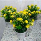 kit com 3 Arranjos de Flores Amarela Mini com Vaso