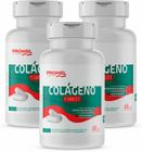 Kit Com 3 - Colágeno Tipo II e Magnésio 30 Cápsulas Promel