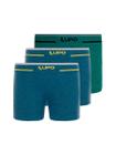 Kit com 3 Cuecas Infantil Boxer Lupinho 137-010