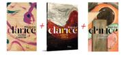 Kit com 3 livros clássicos de Clarice Lispector hora da estrela + A paixão + Felicidade clandestina