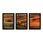 Kit Com 3 Quadros - Campo Árvores Paisagem - 243kq02p