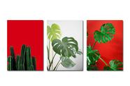 Kit Com 3 Quadros Placas Decorativas, Imagens Cactos Cacto Costela de Adão Bamboo