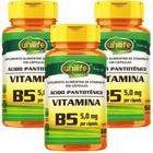 Kit Com 3 Un Vitamina B5 Ácido Pantotênico 100% Pura 500mg 180 Capsulas Vegano Unilife