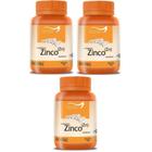 Kit com 3 Zinco Quelato Puro Alto Teor de Zinco Zn Duom 60 Capsulas Or