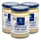 Kit Com 3Und Cocada Cremosa Pura Diet São Lourenço 375G