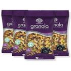 Kit Com 4Und Granola Com Açai Ws Paladar 500G