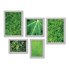 Kit Com 5 Quadros Decorativos - Folhas - Natureza - Folhagem - Verde - 364kq01b