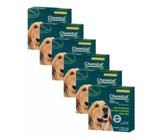 Kit com 6 Chemital Plus 4 Comprimidos Para Cães - Chemitec