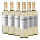 Kit Com 6Und Vinho Argentino Benjamin Nieto Torrontes 750Ml