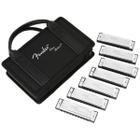 Kit com 7 Gaitas Fender Blues Deluxe com Case