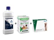 Kit Com Shampoo Tratamento Dermatite Canina Coceira Cães