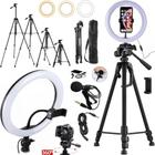 Kit Completo Tripé 1,80m profissional Luz Ring light Microfone lapela celular câmera gravação vídeo aula