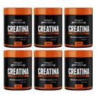 Kit Creatina Monohidratada Com 6 Potes De 240g Cada